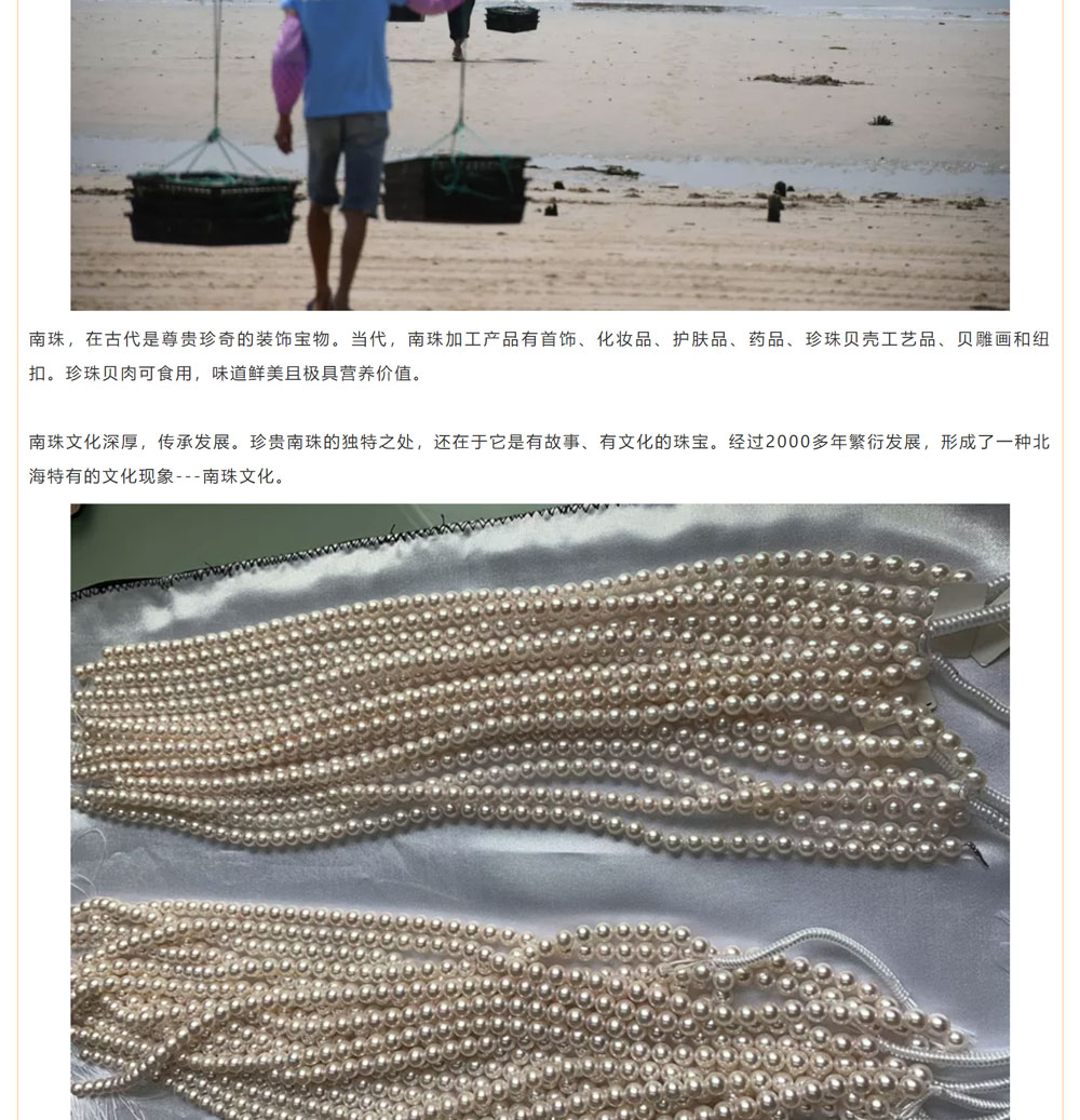 古老南珠，綻放異彩