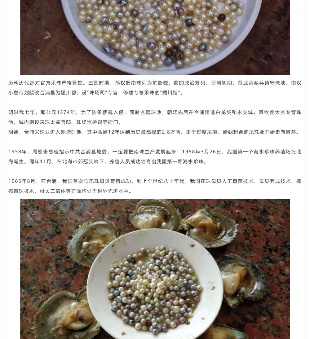 古老南珠，綻放異彩