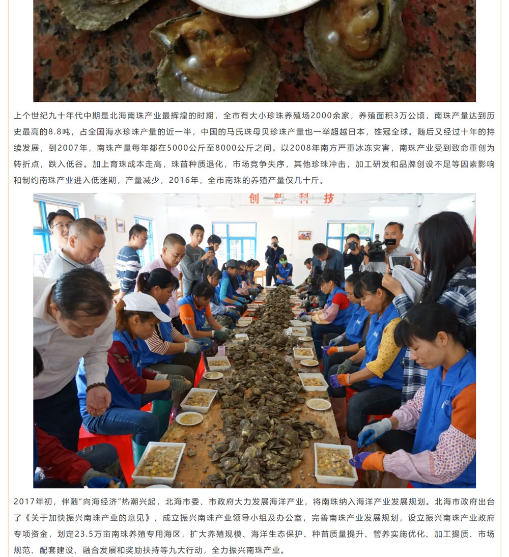 古老南珠，綻放異彩