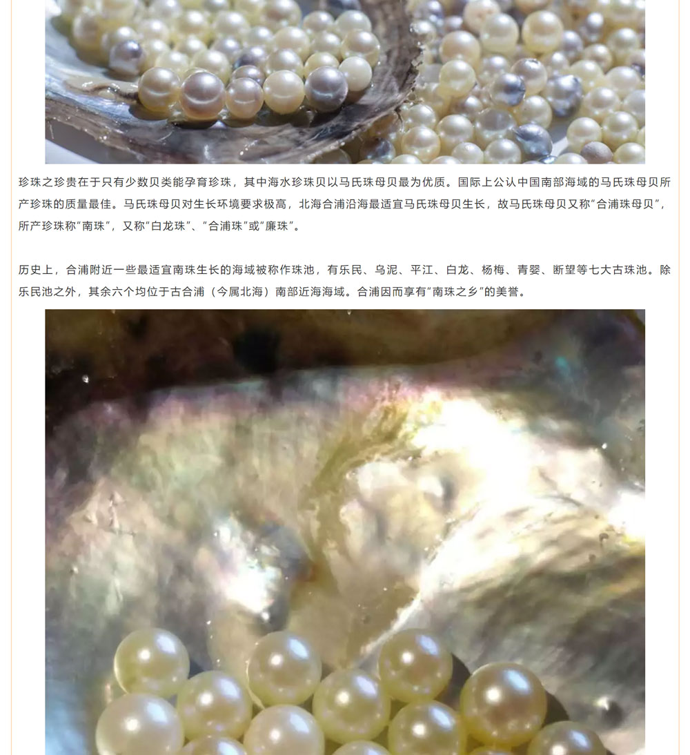 古老南珠，綻放異彩