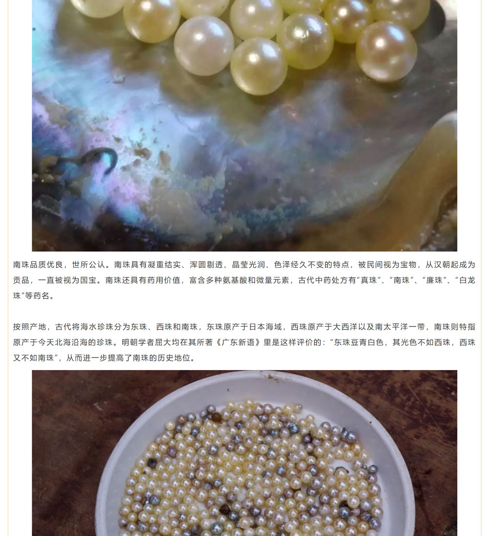古老南珠，綻放異彩
