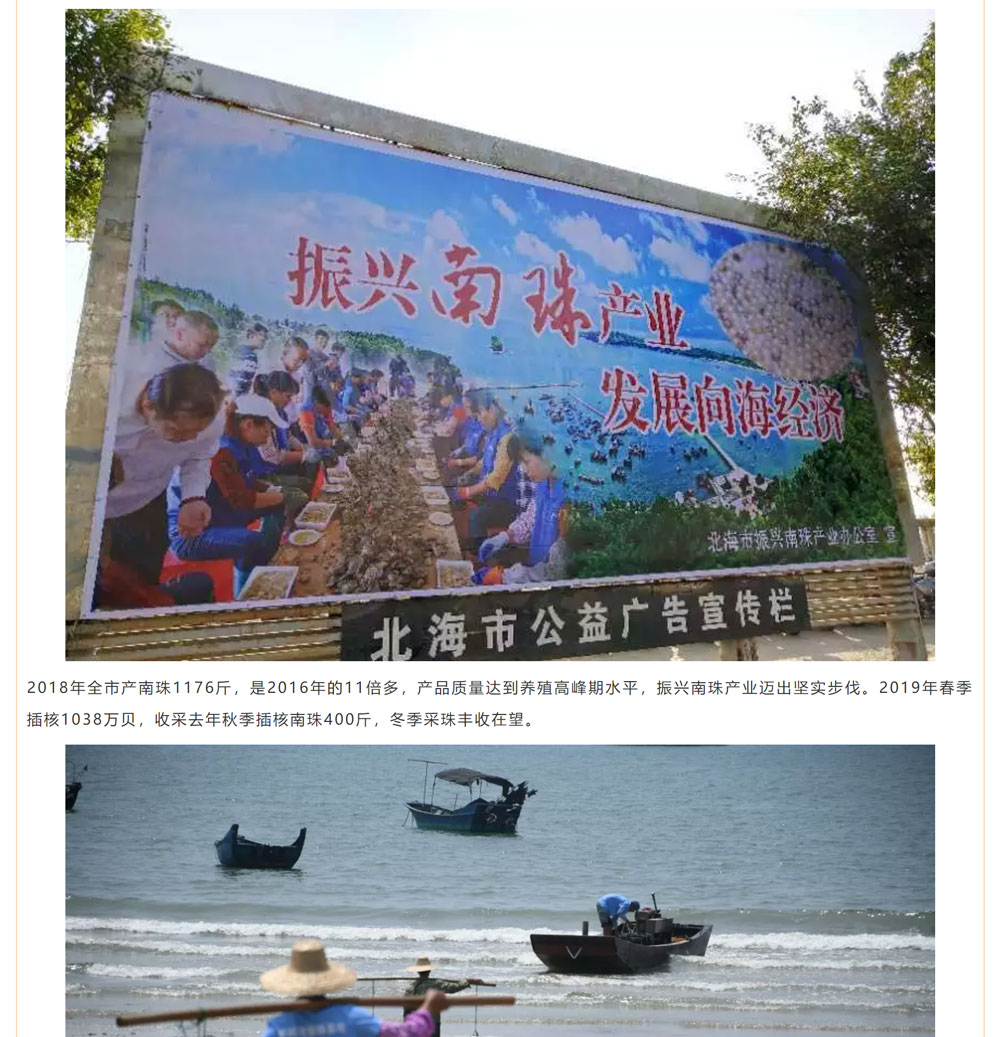古老南珠，綻放異彩